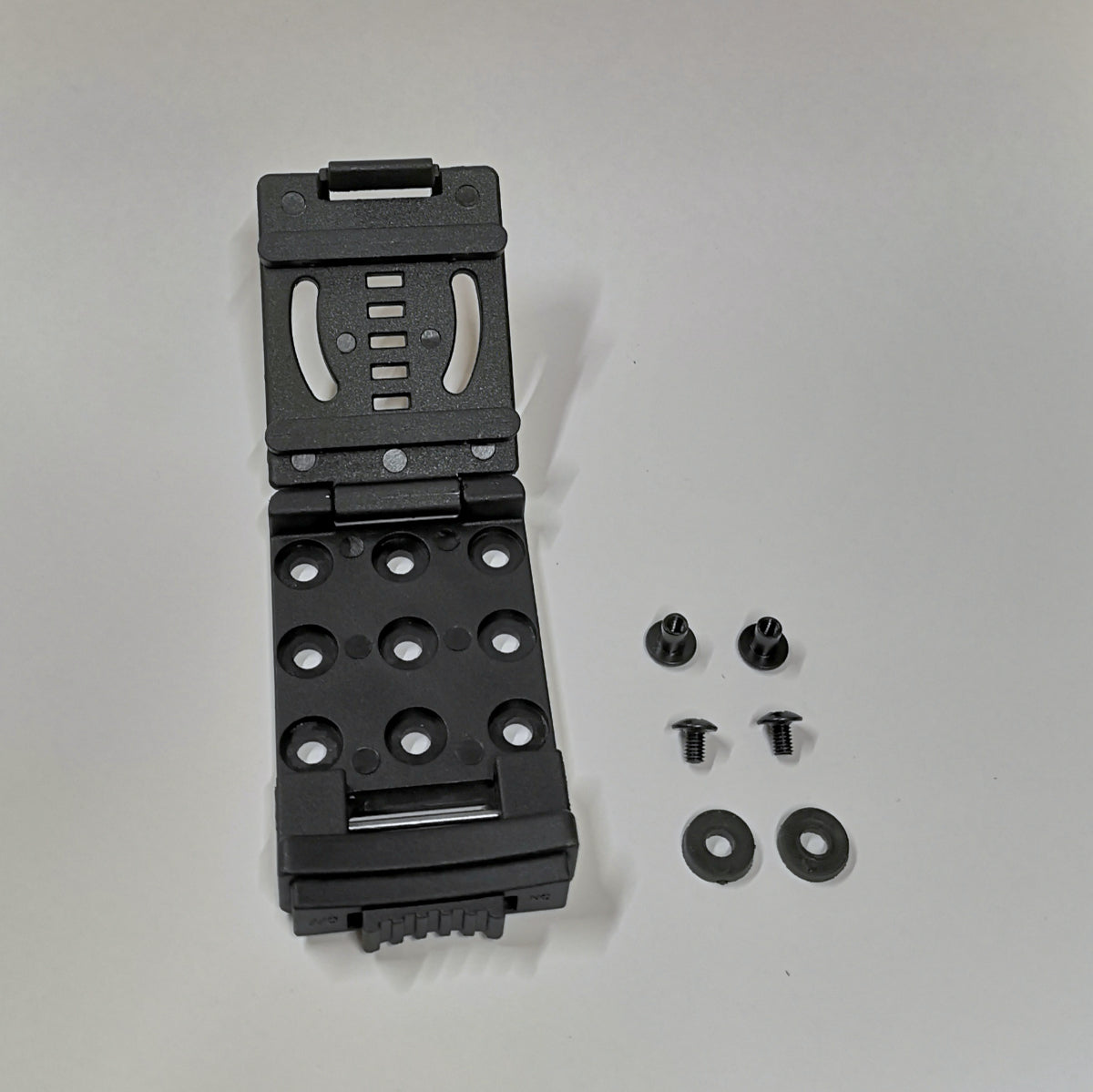 kiku☆ 3b3d3dc20d.jpg